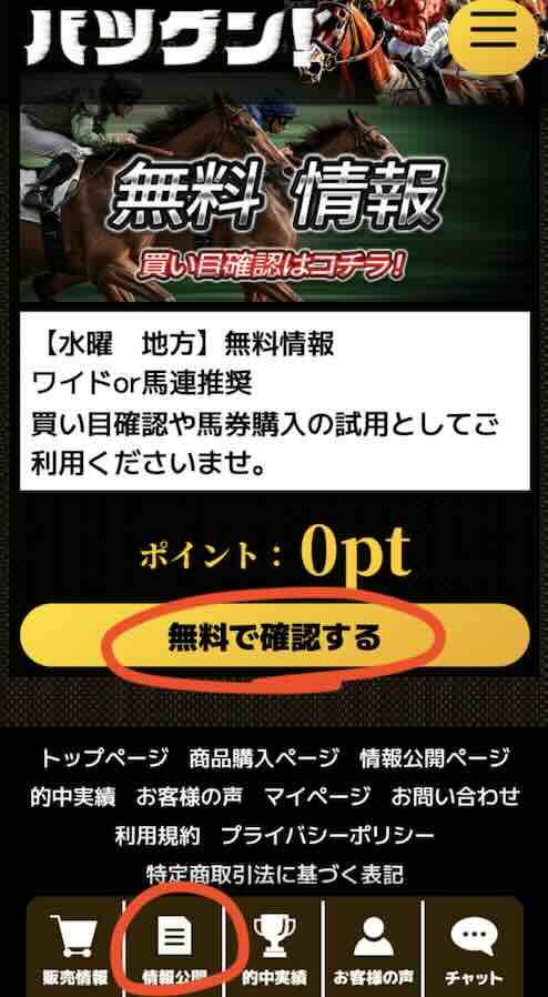 バツグンという競馬予想サイトの無料予想を確認する